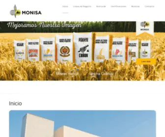 Monisa.com(Molinos de Nicaragua) Screenshot