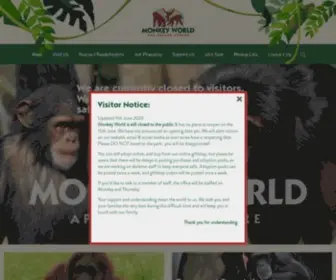 MonkeyWorld.org(Monkey World Dorset Days Out) Screenshot
