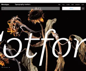 Monotype.com.hk(字体和技术专家) Screenshot