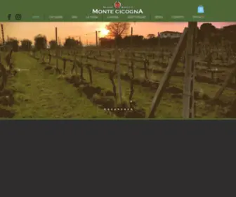 Montecicogna.it(Cantina Lago Di Garda) Screenshot