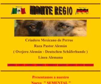 Monteregio.com.mx(Monteregio) Screenshot