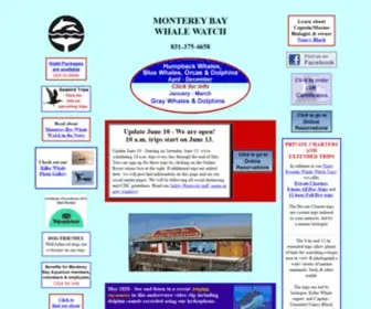 Montereybaywhalewatch.com(Monterey Bay Whale Watch) Screenshot