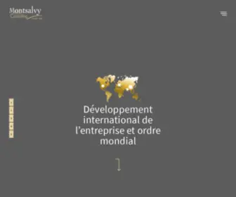 Montsalvy-Consulting.com(Cabinet de conseil en développement international) Screenshot