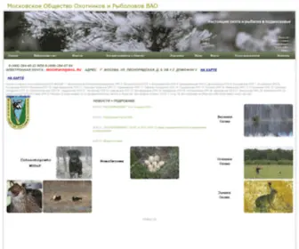 Mooirvao.ru(Информация о нас) Screenshot