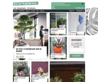Mooiwatplantendoen.nl(Planten wonen buiten mensen eropuit fashion eten) Screenshot