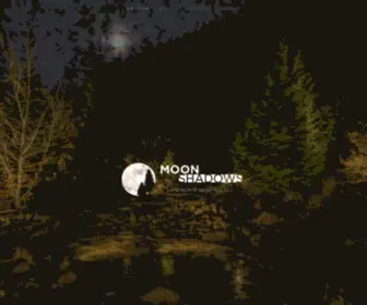 Moonshadowsllc.com(MoonShadows Landscape Lighting) Screenshot