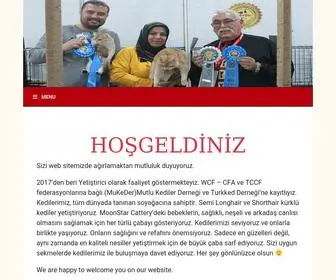 Moonstarcattery.com(HOŞGELDİNİZ) Screenshot