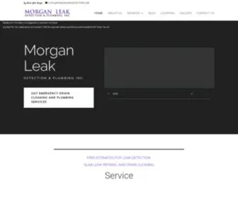 Morganleakdetection.com(Morgan Leak Detection & Plumbing Inc) Screenshot