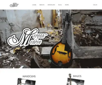 Morganmonroe.com(Morgan Monroe Instruments) Screenshot