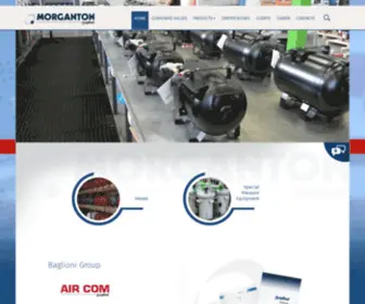 Morgantonpv.com(Pressure vessels for compressed) Screenshot