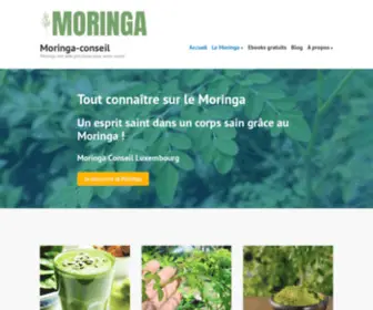 Moringa-Luxembourg.com(Moringa-conseil) Screenshot