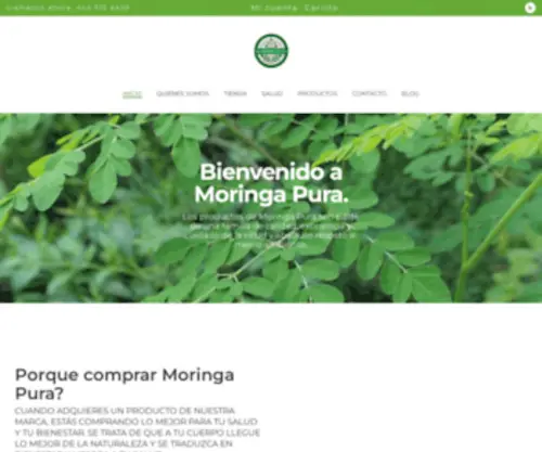 Moringapura.com(Moringa orgánica) Screenshot