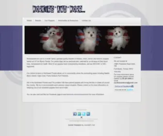 Morkiesandmore.com(Southwest Florida Breeders of Morkie) Screenshot