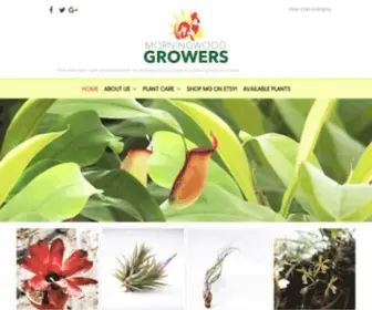 Morningwoodgrowers.com(Morningwood Growers) Screenshot