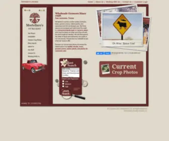 Mortellaro.com(Mortellaro) Screenshot