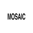 Mosaicmexico.com Favicon