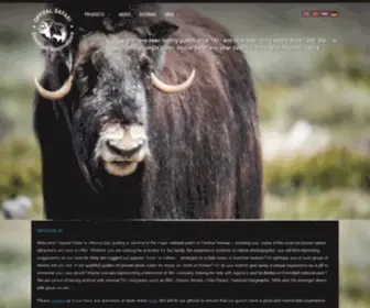 Moskussafari.no(Musk Ox Safari) Screenshot