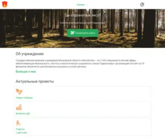 Mosoblles.com(Toto911) Screenshot