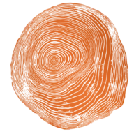 Mostra3Mdearte.com.br Favicon