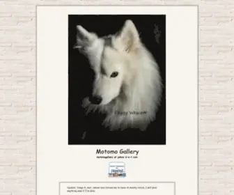 Motomogallery.com(Motomo Gallery) Screenshot