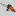 Motorsaegen-Portal.de Favicon