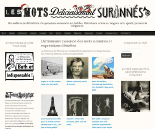 Mots-Surannes.fr(Mots Surannes) Screenshot