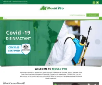 Mouldpro.com.au(Mould Removal Sydney) Screenshot