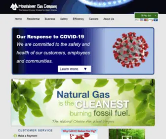 Mountaineergasonline.com(Mountaineer Gas Company) Screenshot