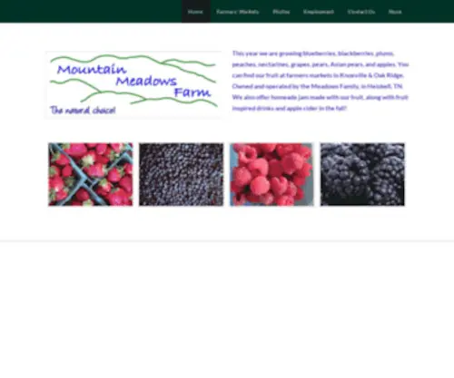 Mountainmeadowsfarmtn.com(Family-run produce farm) Screenshot