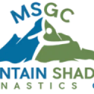 Mountainshadowsgymclub.com Favicon