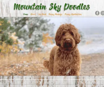 Mountainskydoodles.com(Mountain Sky Doodles) Screenshot