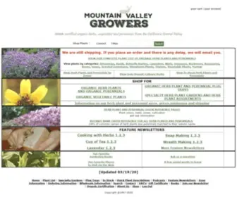 Mountainvalleygrowers.com(Certified Organic Herb Plants Perennial Plants and Vegetable Seedlings) Screenshot