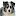 Mountainviewdogtraining.com Favicon