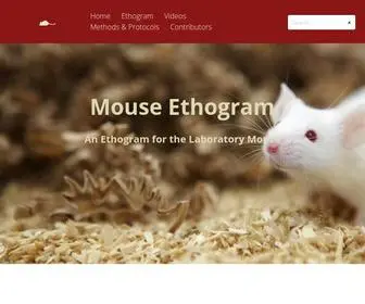 Mousebehavior.org(Stanford School of Medicine) Screenshot