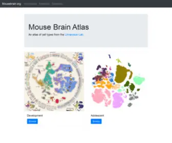 Mousebrain.org(Mousebrain) Screenshot