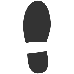 Movingshoe.com Logo