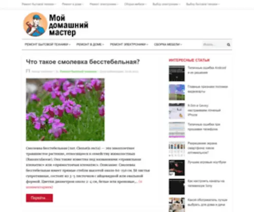 Moyhomemaster.ru(Moyhomemaster) Screenshot