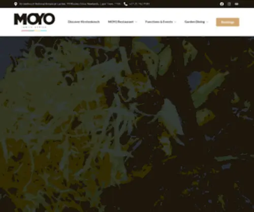 Moyo.co.za(Moyo african restaurant) Screenshot