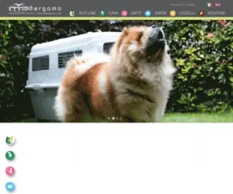 Mpbergamo.com(ITALIAN DESIGN FOR PETS) Screenshot