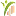 MPhca.com Favicon