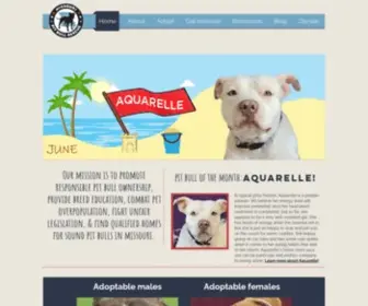 MPRgroup.net(Mopitbullrescue) Screenshot