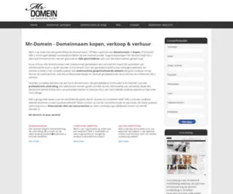 MR-Domein.nl(Een goede domeinnaam voor uw bedrijf of dienst) Screenshot