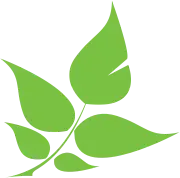 Mrinsulate.net Favicon