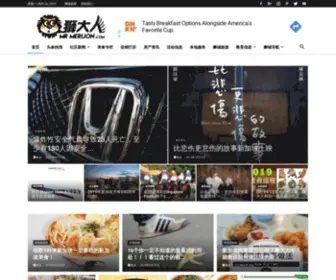 Mrmerlion.com(狮大人) Screenshot