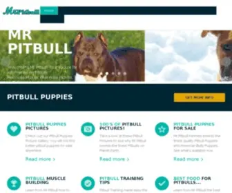 Mrpitbull.com(BLUE PITBULLS FOR SALE) Screenshot