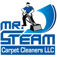 MRsteamcarpetcleaners.com Favicon