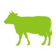 MS-Dairy-Lab.com Logo