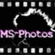 MS-Photos.de Favicon