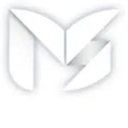 MS.net.tr Favicon