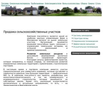 Mse-Online.ru(Развитие) Screenshot
